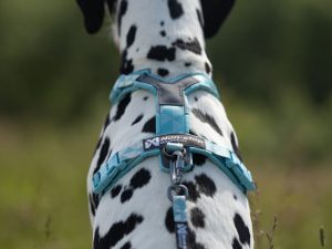 NON STOP Rush Harnas NON STOP Trekking line harness CLIP'N