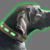 Niggeloh Leren Halsband LICHTBLICK