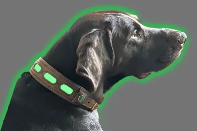 Niggeloh Leren Halsband LICHTBLICK