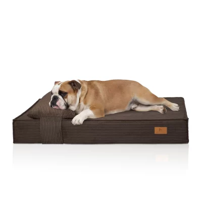 Orthopedische Hondenbed Soleya van Corduroy1 Orthopedische Hondenbed Soleya van Corduroy