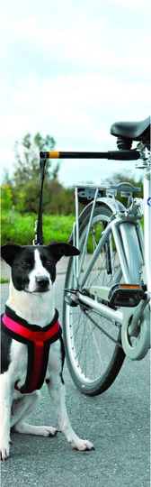 Pawise Hands Free Doggy Bike Exerciser Leash