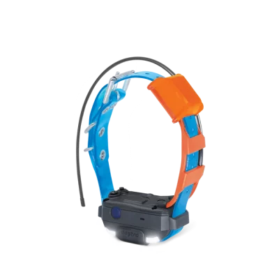 PF2-MINI-TRX_BLUE DOGTRA Pathfinder 2 Mini TRX Halsband