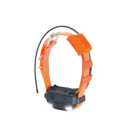 DOGTRA Pathfinder 2 Mini TRX Halsband