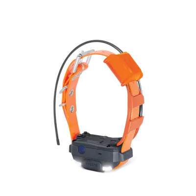 PF2-MINI-TRX_ORANGE DOGTRA Pathfinder 2 Mini TRX Halsband