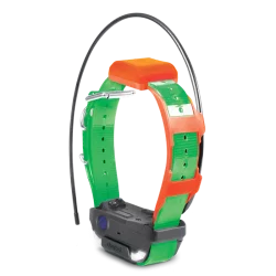 DOGTRA Pathfinder 2 Mini TRX Halsband