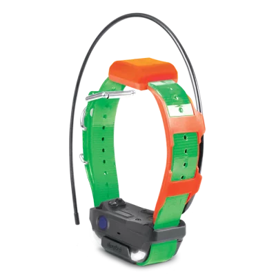 PF2-TRX_GREEN DOGTRA Pathfinder 2 Mini TRX Halsband