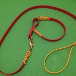 PRIDE BIOTHANE twee in één lijn