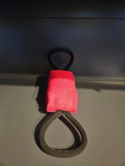 PRIDE Bijtspeeltje Rugby