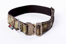 PRIDE Elite serie 40mm halsband PRIDE Elite serie 40mm halsband