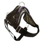 PRIDE Tactisch surveillance harnas Standaard