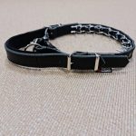 PRIDE lederen pinhalsband met handvat