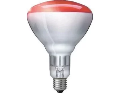 Philips Warmtelamp rood 150watt e27 Philips Warmtelamp rood 150watt e27