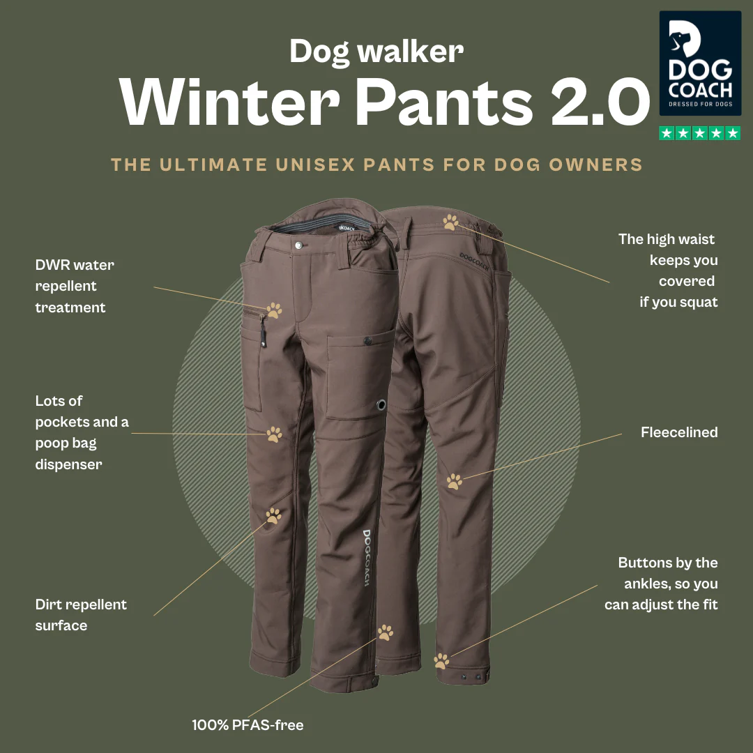 DC Winter Pants 2.0 Short Bison/Reynard