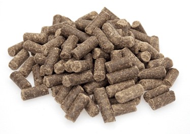 Premium Excellent Kip