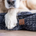 QUAPAS! Comfort kussen Grijs QUAPAS! Comfort kussen Grijs