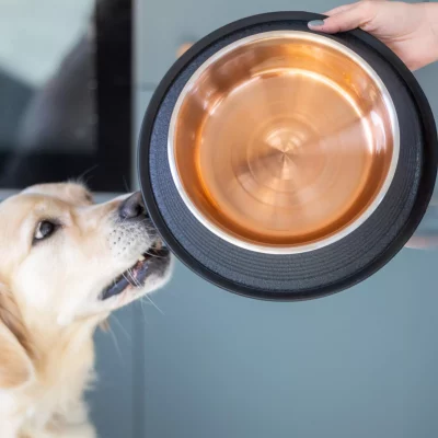 Quapas! Voerbak Leer Antislip2 Quapas! Voerbak Leer Antislip