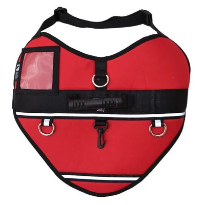 Ray Allen Activ Dog Harness