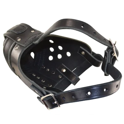 Ray Allen European Working Dog Muzzle4 Ray Allen European Working Dog Muzzle