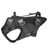 Ray Allen Insertion Harness Ray Allen Insertion Harness