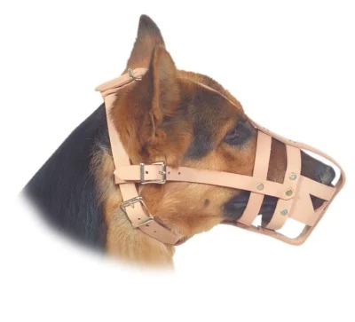 Ray Allen Leather Military Spec Standard Dog Muzzle