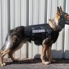 Ray Allen Modular Ballistic Vest8 Ray Allen Modular Ballistic Vest