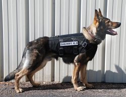 Ray Allen Modular Ballistic Vest