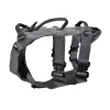 Ray Allen Nomad Harness Frame™ w GT Cobra Buckles1 Ray Allen Nomad Harness Frame™ w/ GT Cobra Buckles