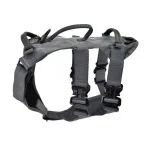 Ray Allen Nomad Harness Frame™ w/ GT Cobra Buckles