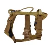 Ray Allen Nomad Harness Frame™ w GT Cobra Buckles12 Ray Allen Nomad Harness Frame™ w/ GT Cobra Buckles