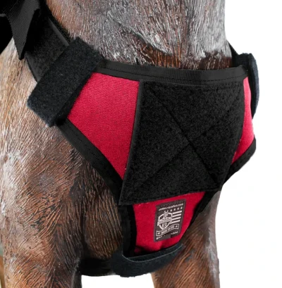 Ray Allen Nomad Ski Patrol Harness™3 Ray Allen Nomad Ski Patrol Harness™