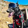 Ray Allen Nomad Ski Patrol Harness™4 Ray Allen Nomad Ski Patrol Harness™