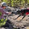 Ray Allen Nomad Ski Patrol Harness™5 Ray Allen Nomad Ski Patrol Harness™