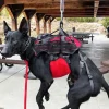 Ray Allen Nomad Ski Patrol Harness™6 Ray Allen Nomad Ski Patrol Harness™