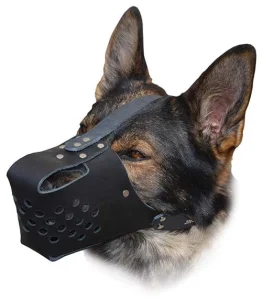 Ray Allen RamLite Leather Muzzle - Black