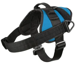 Ray Allen Service Dog Opportunity Harness