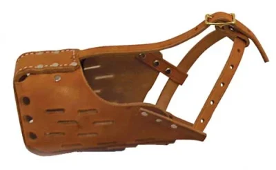 Ray Allen Standard Leather Muzzle1 Ray Allen Standard Leather Muzzle