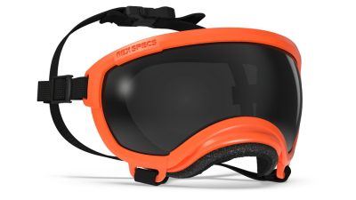 REX SPECS Hondenbril-XS V2 Oranje Smoke