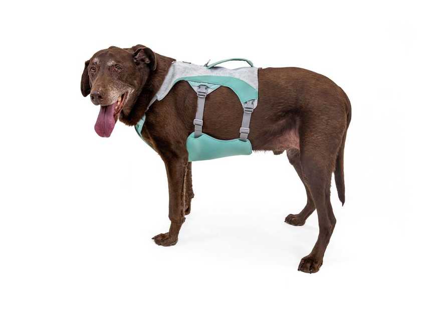 Ruffwear Swamp Cooler Cooling Dog Harnas Dogpride NL