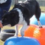 Gymnic Peanut Ball Senso Gymnic Peanut Ball Senso