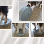 Gymnic Stability Wheel Ø40cm