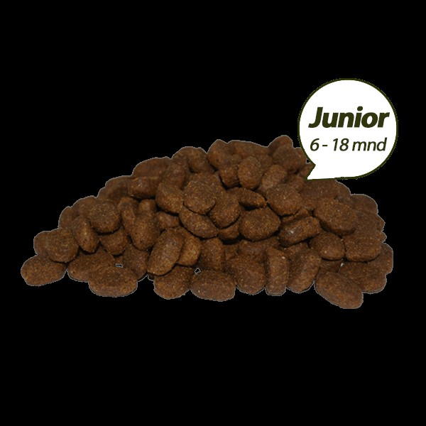 Superieur PREMIUM Junior Brokken