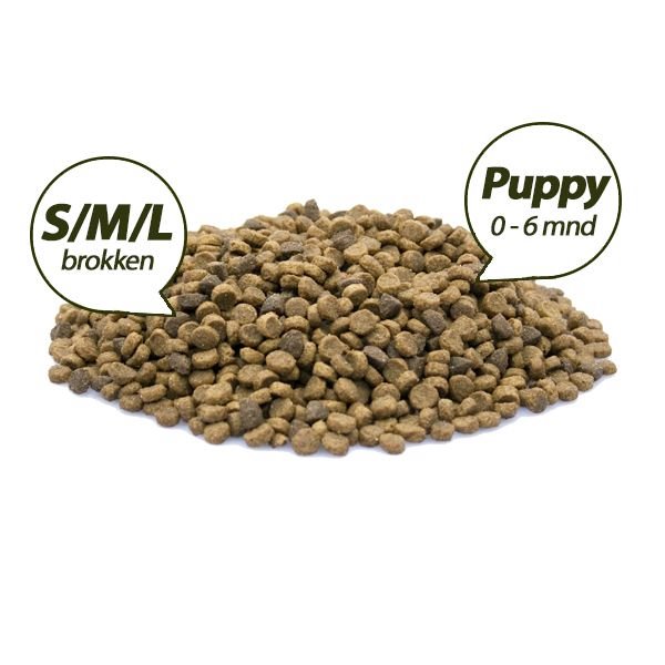 Superieur (PREMIUM) Puppy Brokken