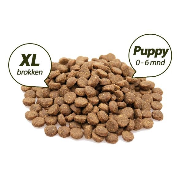 Superieur (PREMIUM) Puppy Large Breed