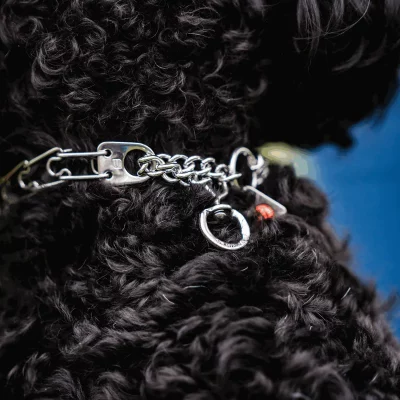 Trainingshalsband Micro Plus 1.5 mm 3 Trainingshalsband Micro Plus 1.5 mm