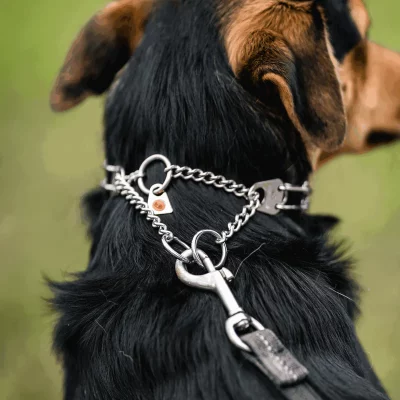 Trainingshalsband ULTRA-PLUS Easy On