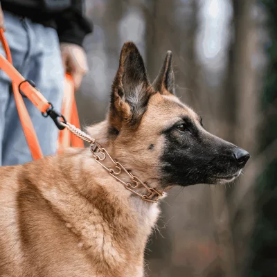 Trainingshalsband Ultra Plus 3 Uitvoeringen 6 Trainingshalsband Ultra Plus 3 Uitvoeringen