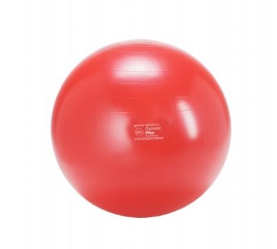 Gymnic Treibball Ø55 cm Rood