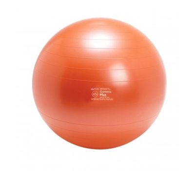 Gymnic Treibball Ø65 cm Oranje
