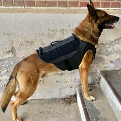 Recon K-9 Ballistic K9 Carrier stairs