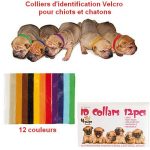 Identificatiehalsband met klittenband voor puppies Identificatiehalsband met klittenband voor puppies